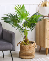 3 Ft Artificial Fan Palm (Without Pot) – styled for modern home interiors