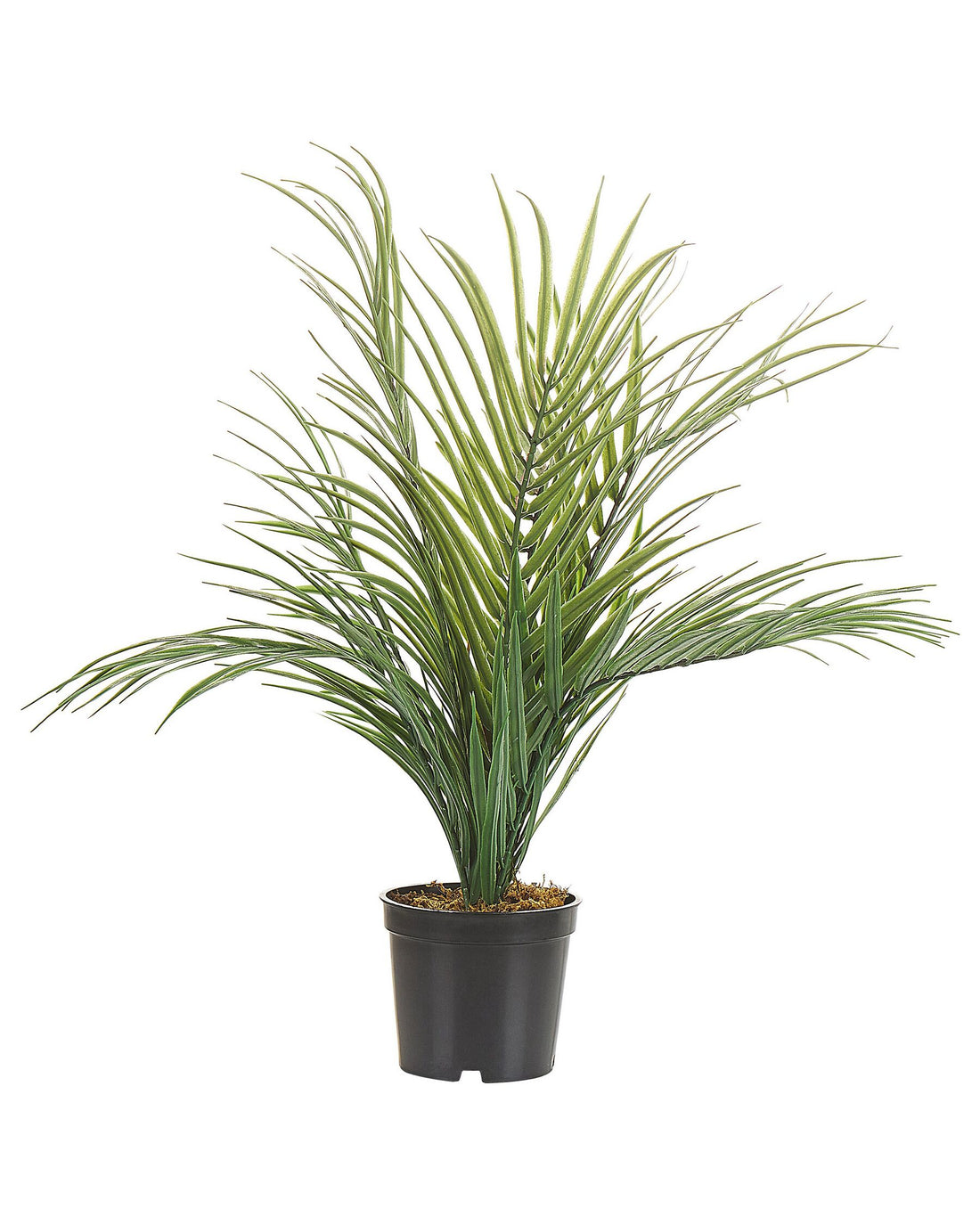 2 Ft Artificial Areca Palm (Without Pot) – full plant shot showcasing realistic foliage